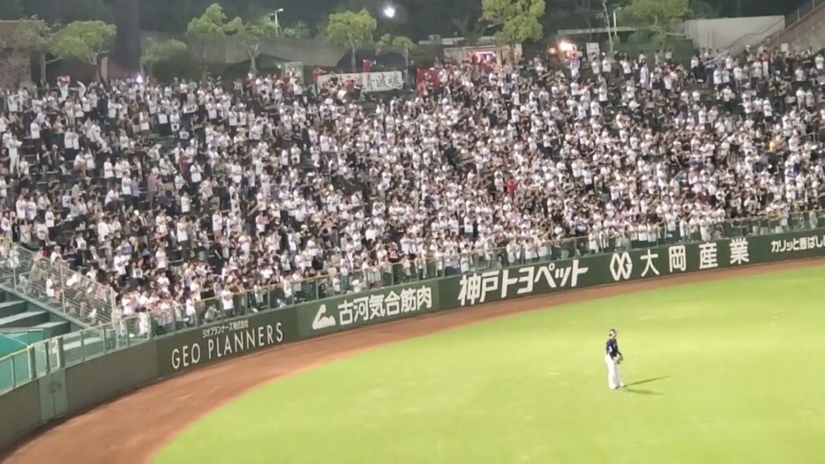 20240904　ﾗｲﾄ前ﾋｯﾄ♪【太田椋 応援歌】5回ｳﾗ　ｵﾘｯｸｽ･ﾊﾞﾌｧﾛｰｽﾞ@ほっともっとﾌｨｰﾙﾄﾞ神戸･ﾚﾌﾄ外野