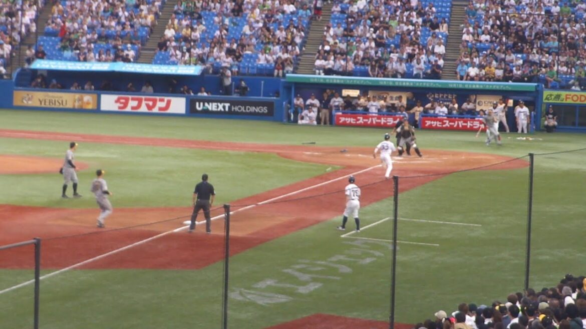 ヤクルト 西川遥輝ヒットでレフト前川右京のバックホームにより、ランナー内山壮真クロスプレー本塁タッチアウト　ヤクルト vs 阪神　2024年9月8日(日) 神宮球場