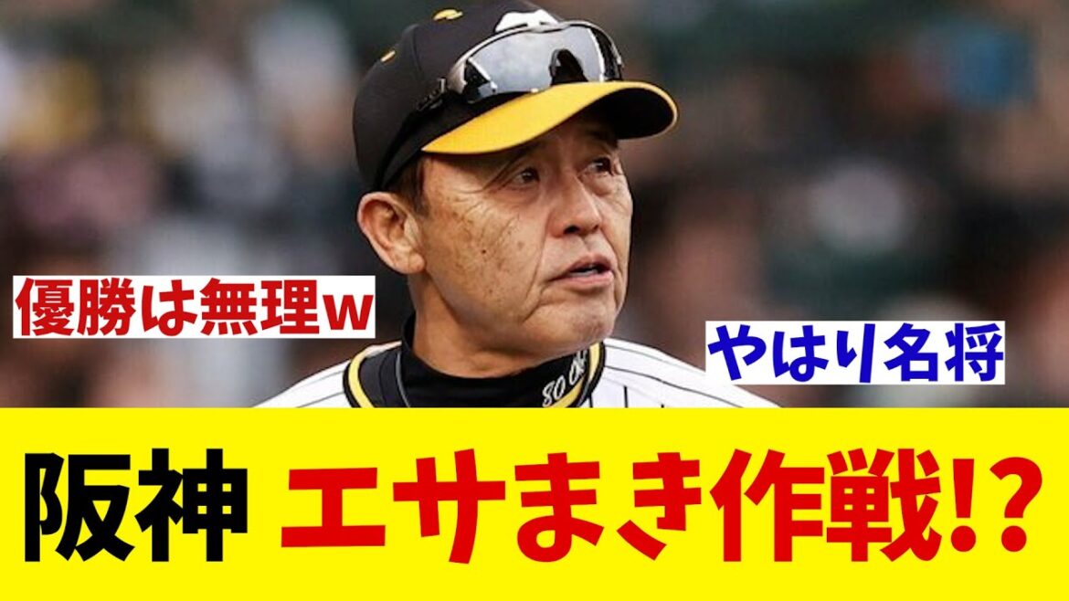 阪神　エサまき作戦回収の時！？【野球情報】【2ch 5ch】【なんJ なんG反応】【野球スレ】