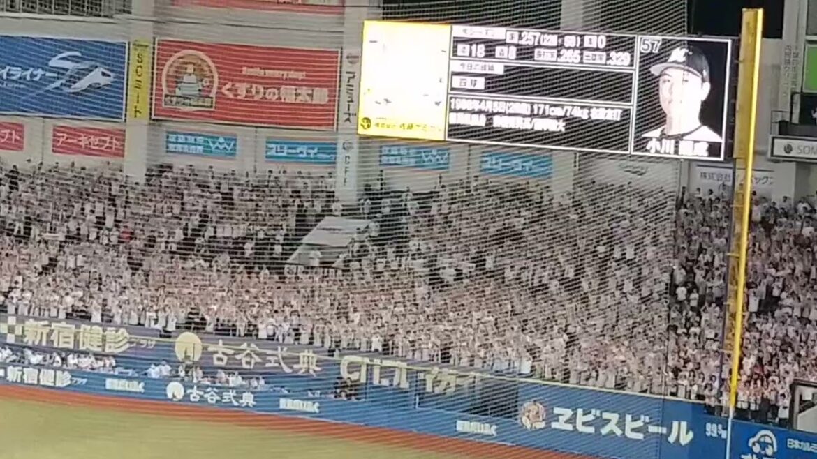 千葉ロッテマリーンズ小川龍成選手の応援歌です！