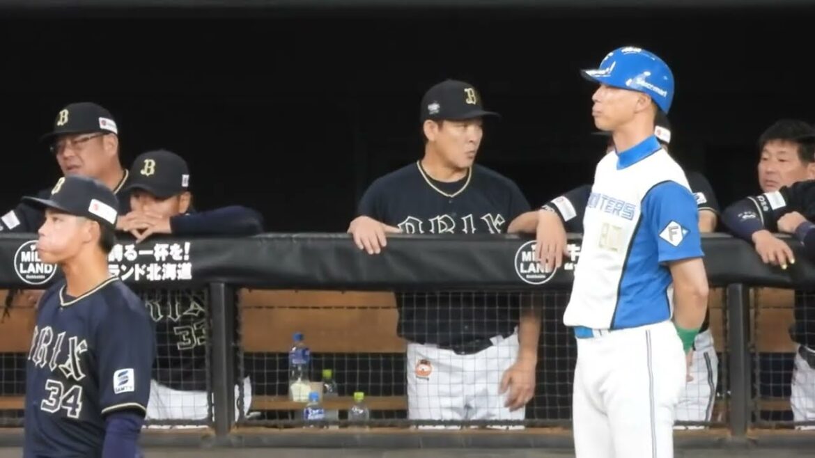 中嶋監督ブチギレのポテンヒットww万波中正のラッキーヒット　エスコンフィールド北海道日本ハムファイターズ