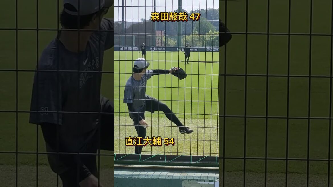 【GIANTS】 #直江大輔 #森田駿哉 のキャッチボール #shorts #巨人 #ジャイアンツ #giants