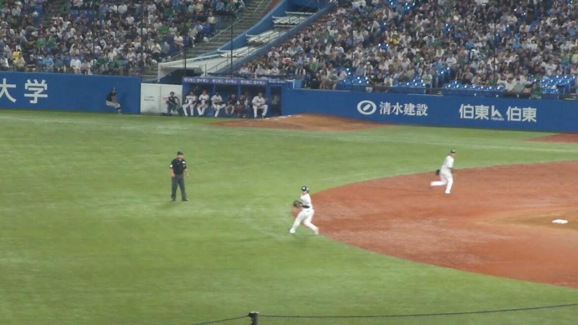 ヤクルト 長岡秀樹 ナイスプレー　ヤクルト vs 阪神　2024年9月6日(金) 神宮球場