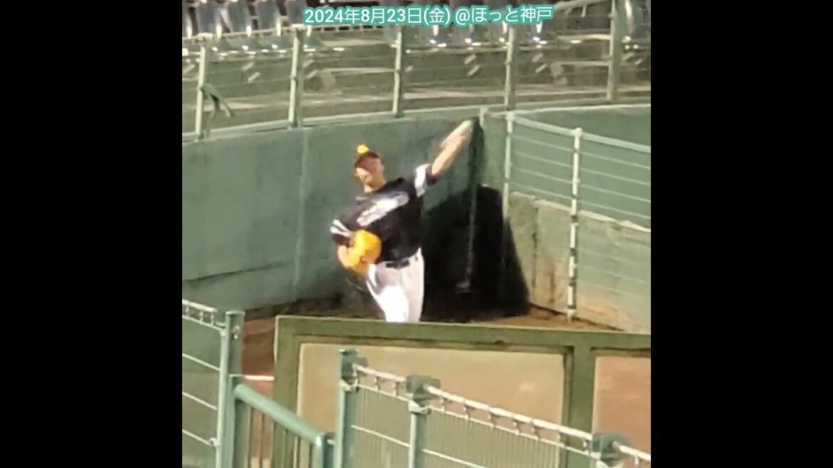 20240823　#田浦文丸　ﾌﾞﾙﾍﾟﾝで投球練習　#shorts@ほっともっとﾌｨｰﾙﾄﾞ神戸［ｳｴｽﾀﾝ･ﾘｰｸﾞ 2軍戦］