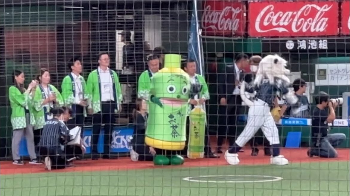 「お〜いお茶くん」とよく喋るライナと、あまり話さないでピッチング練習するレオ【西武vsオリックス】2024/8/22 ライオンズフェスティバルズ 「お〜いお茶くん」とよく喋るライナと、あまり話さないでピッチング練習するレオ【西武vsオリックス】2024/8/22 ライオンズフェスティバルズ