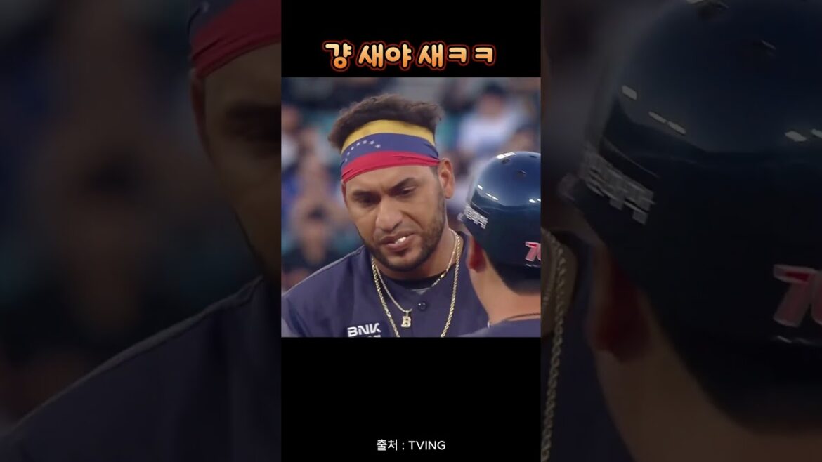 이건 새야 새 This is a bird #koreabaseball #야구하이라이트 #삼성라이온즈