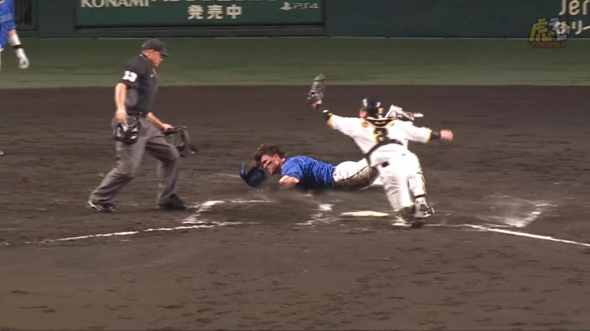 【正確】7回表、強肩の #森下翔太 選手がオースティン選手のホーム生還を阻止する！【2024/9/10Ｔ－ＤＢ】