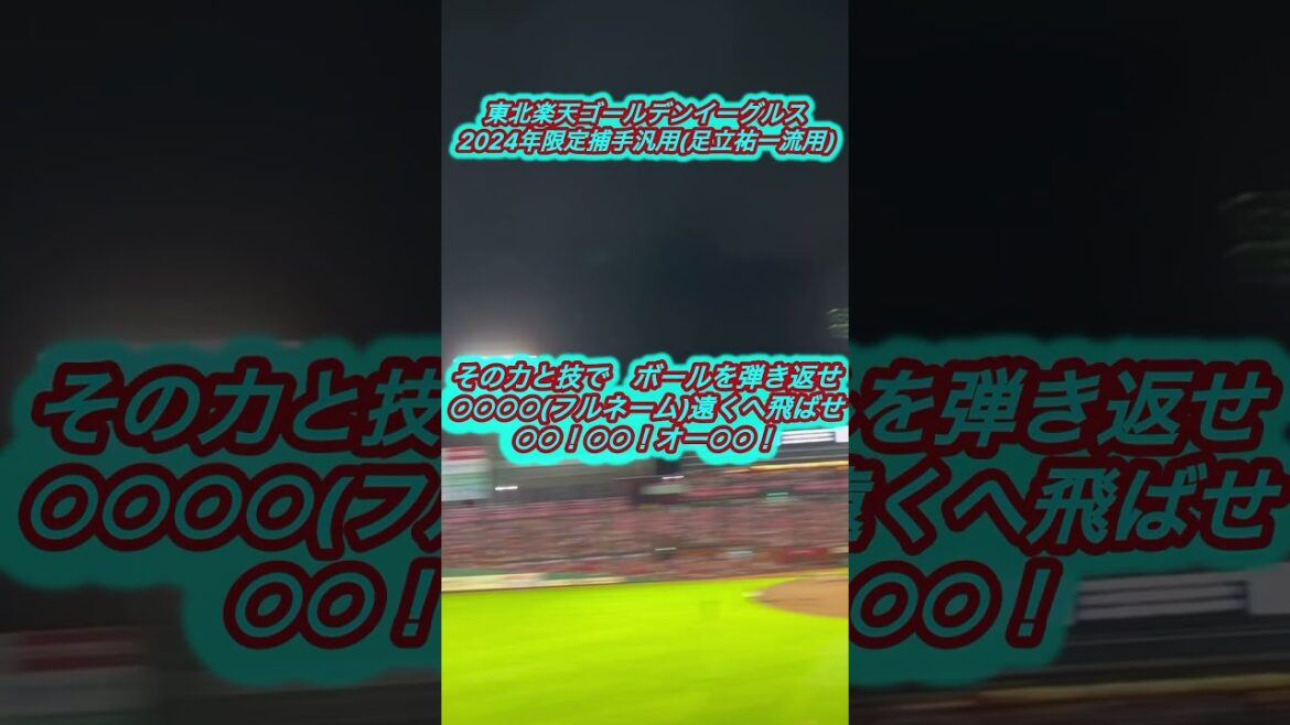 東北楽天ゴールデンイーグルス　2024年限定捕手汎用(足立祐一流用)