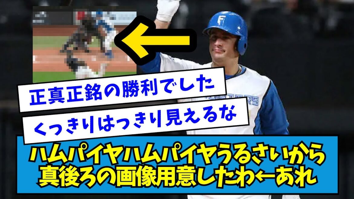 【真相】ハムパイヤハムパイヤうるさいから真後ろの画像用意したわ ←あれ??【なんJ反応】 【真相】ハムパイヤハムパイヤうるさいから真後ろの画像用意したわ ←あれ??【なんJ反応】
