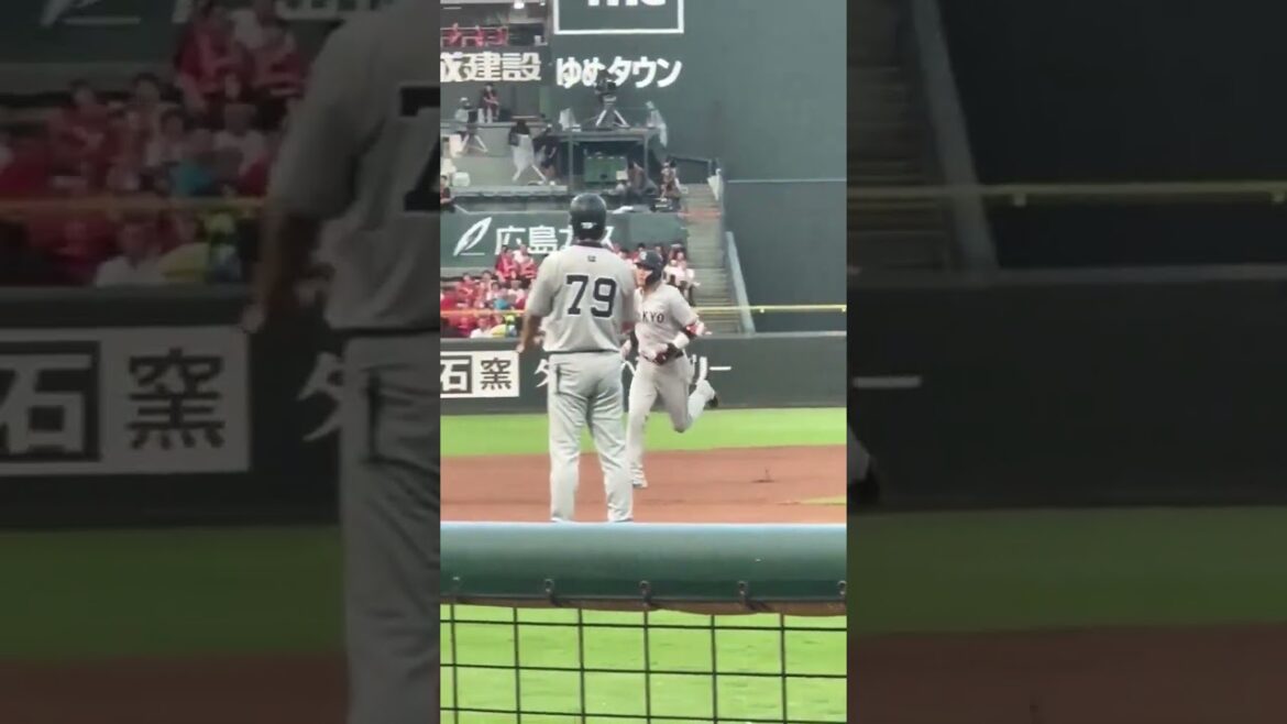 巨人 坂本勇人 カープとの首位攻防戦の第1打席で先制ソロホームランを放つ #巨人 #広島東洋カープ #坂本勇人 #読売ジャイアンツ #プロ野球 #野球 #baseball #ホームラン#homerun