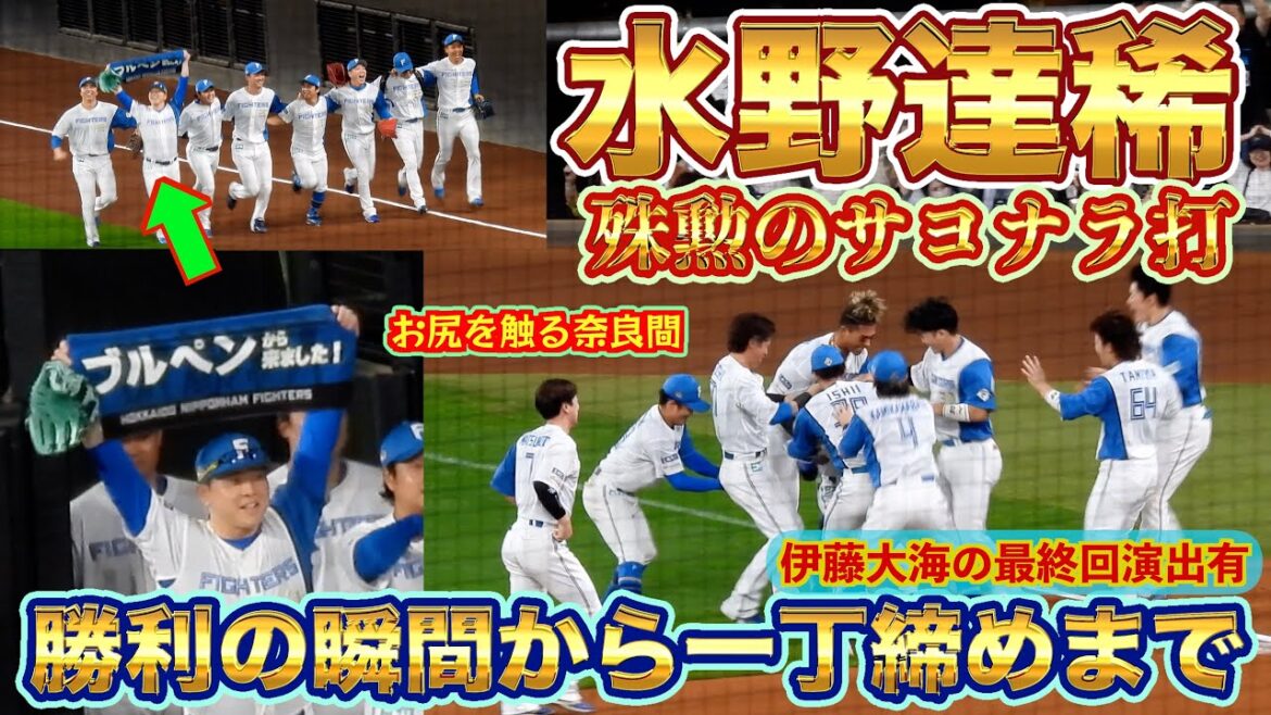 【20240910】水野達稀がサヨナラ打!!勝利の瞬間から一丁締めまで(伊藤大海の最終回演出有) 【20240910】水野達稀がサヨナラ打!!勝利の瞬間から一丁締めまで(伊藤大海の最終回演出有)