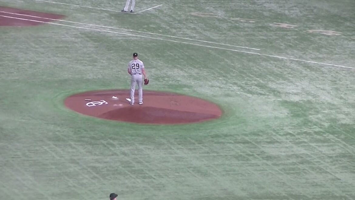 松本直樹を三振に仕留めるグリフィン（読売ジャイアンツ 対 ヤクルトスワローズ2024年6月22日）