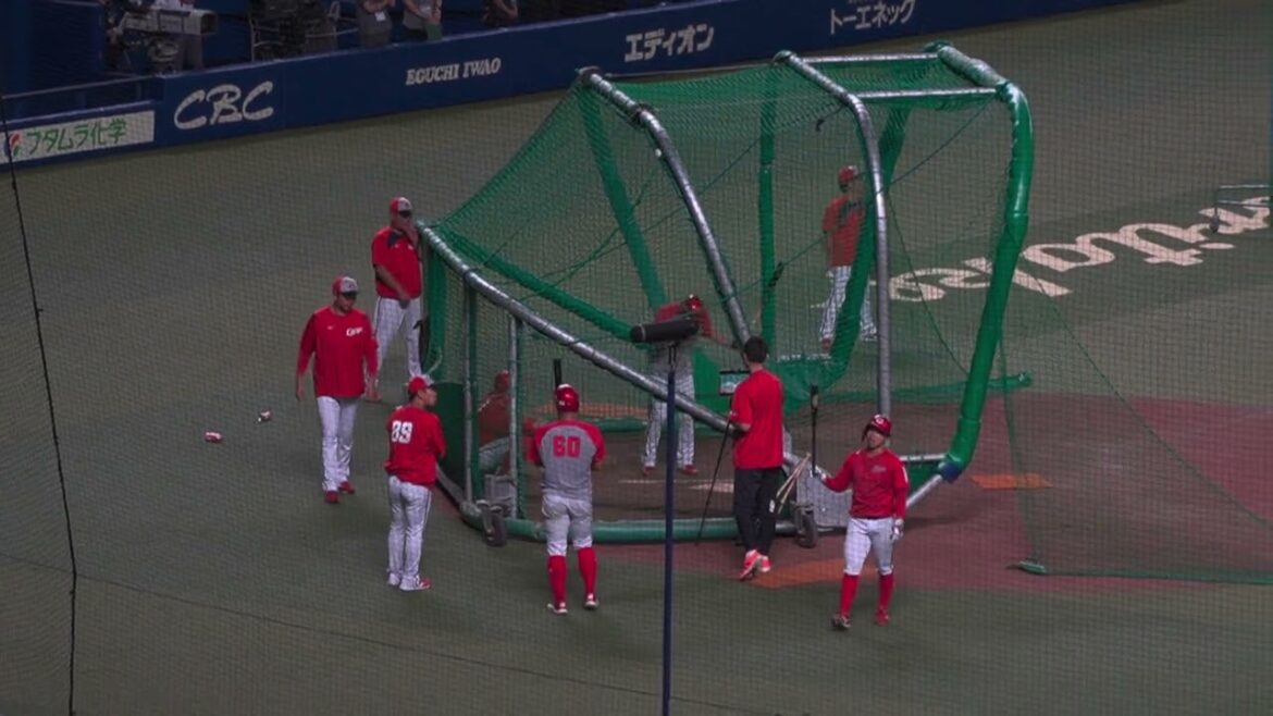 【広島カープ】田村選手、二俣選手、羽月選手のバッティング練習(2024/08/28)