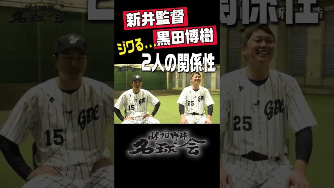 【ジワる。】広島カープ・新井監督 & 黒田博樹、2人の関係性 #shorts #広島東洋カープ ＃新井監督 #黒田博樹