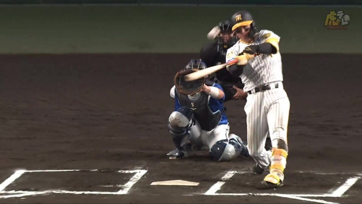 【号砲一閃】6回裏、#森下翔太 選手が3試合連続ホームランとなるレフト第15号ソロホームラン！【2024/9/11Ｔ－ＤＢ】