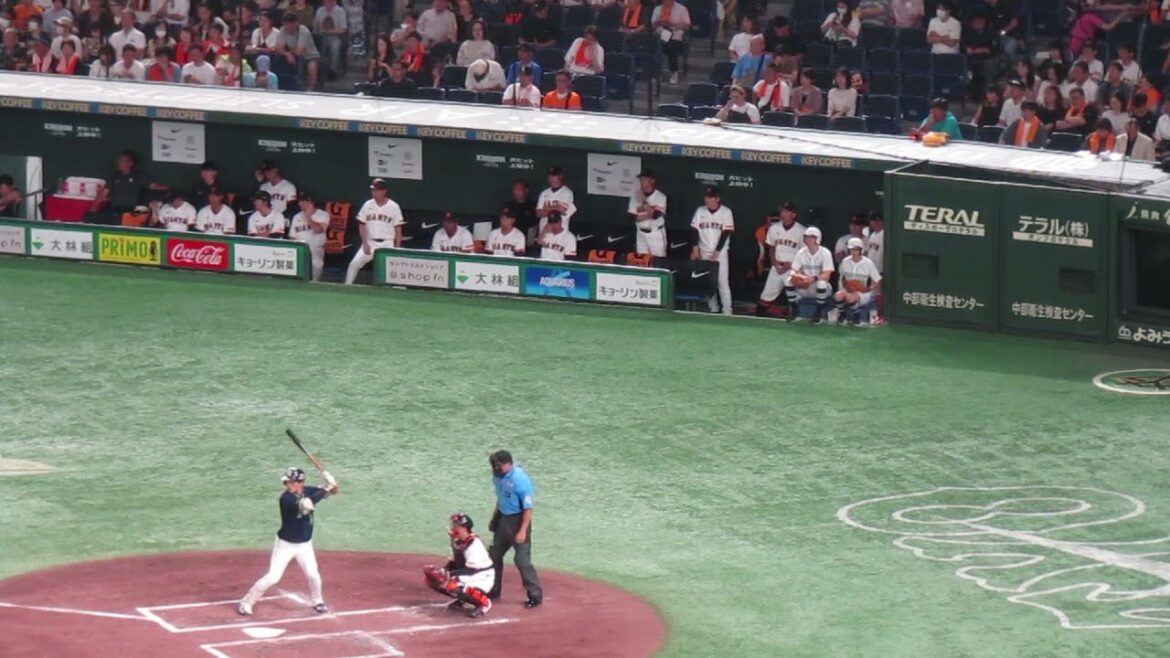 宮本丈を打ち取り喜ぶ巨人ベンチの様子＜読売ジャイアンツ 対 ヤクルトスワローズ2024年8月3日＞