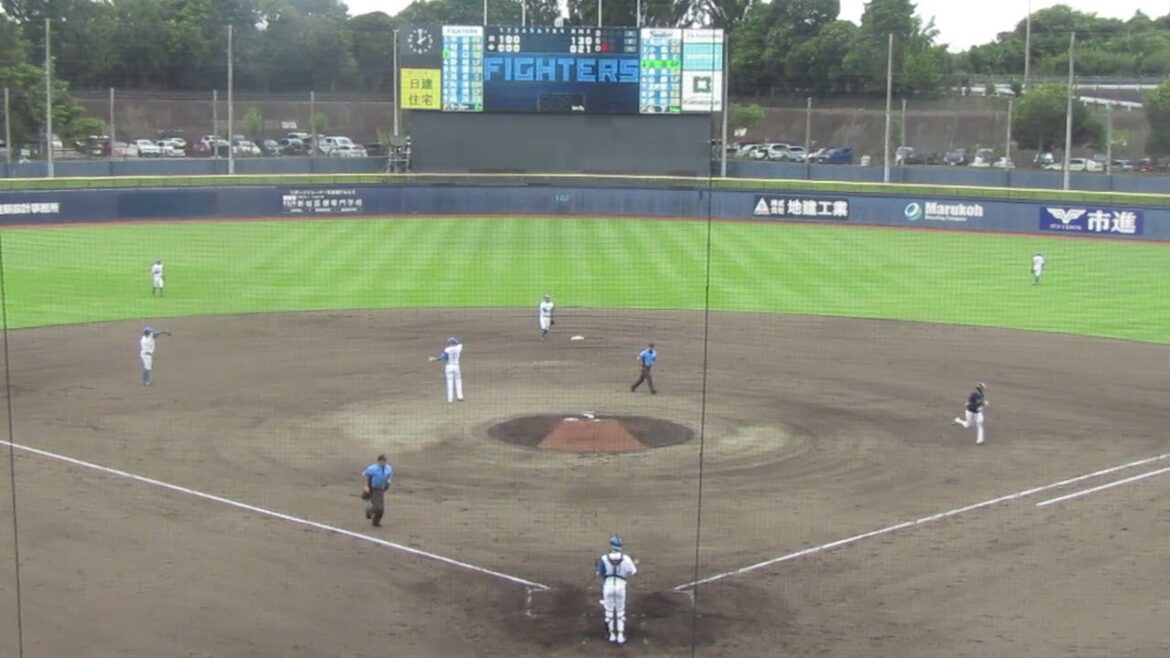 橋本星哉のレフトフライ 野村祐希がナイス守備 太田賢吾はセンターフライに（2024年9月4日 日本ハムファイターズ 対 ヤクルトスワローズ）