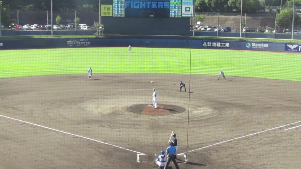 太田賢吾ショートゴロ 細川凌平の守備（2024年9月4日 日本ハムファイターズ 対 ヤクルトスワローズ）