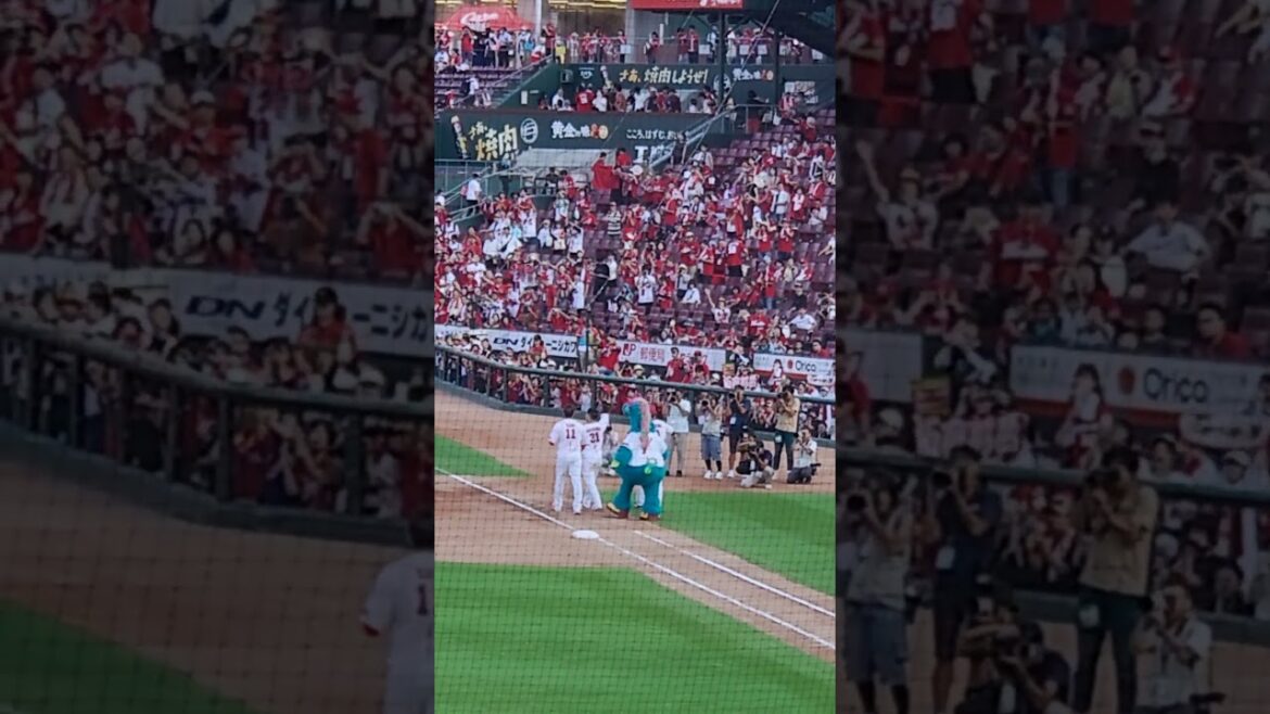 【2024.9.7】今日のヒーロー達  #shorts  #九里亜蓮  #坂倉将吾  #秋山翔吾