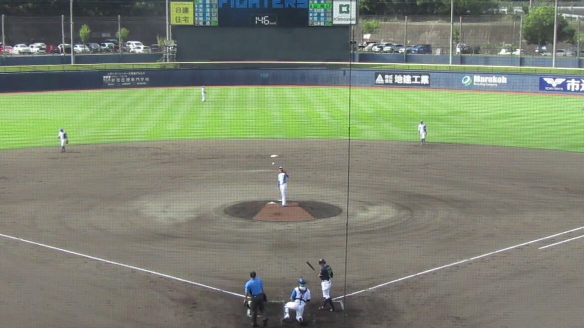 ヤクルト山崎晃太郎を三振にとる日ハム福島蓮（2024年9月4日 日本ハムファイターズ 対 ヤクルトスワローズ）