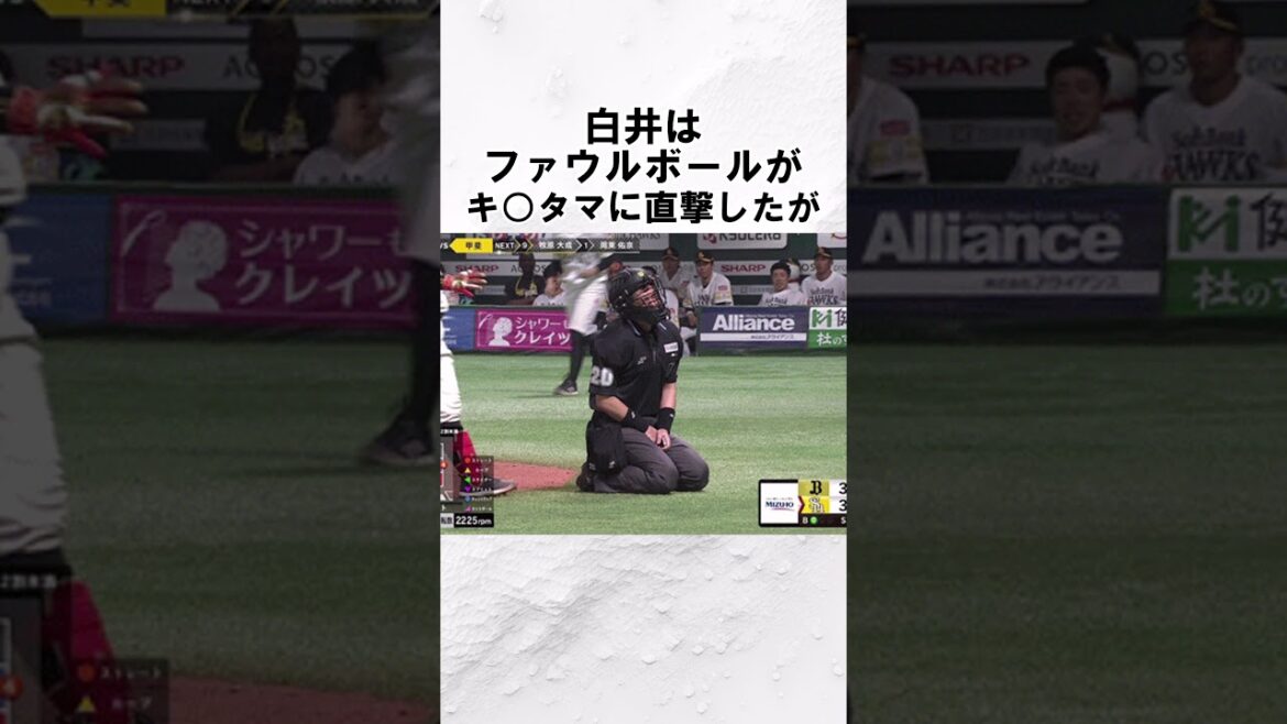 『球審・白井』に関する面白い雑学　#野球解説　#雑学　#白井一行　　#shorts