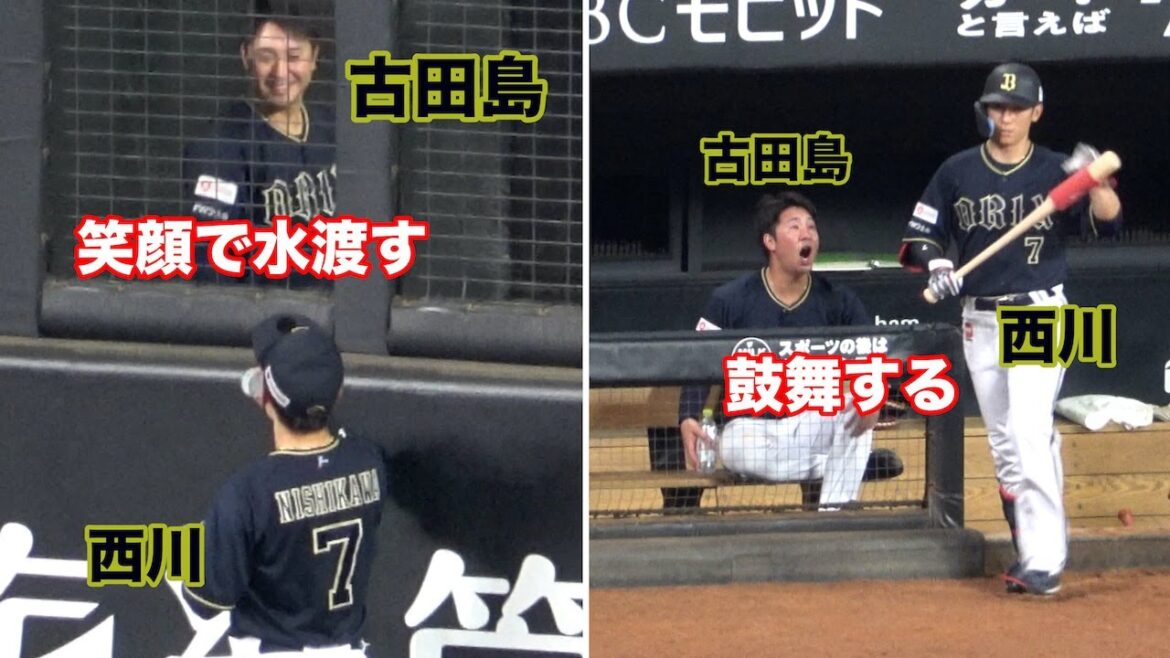 西川龍馬と自称同期入団の古田島成龍