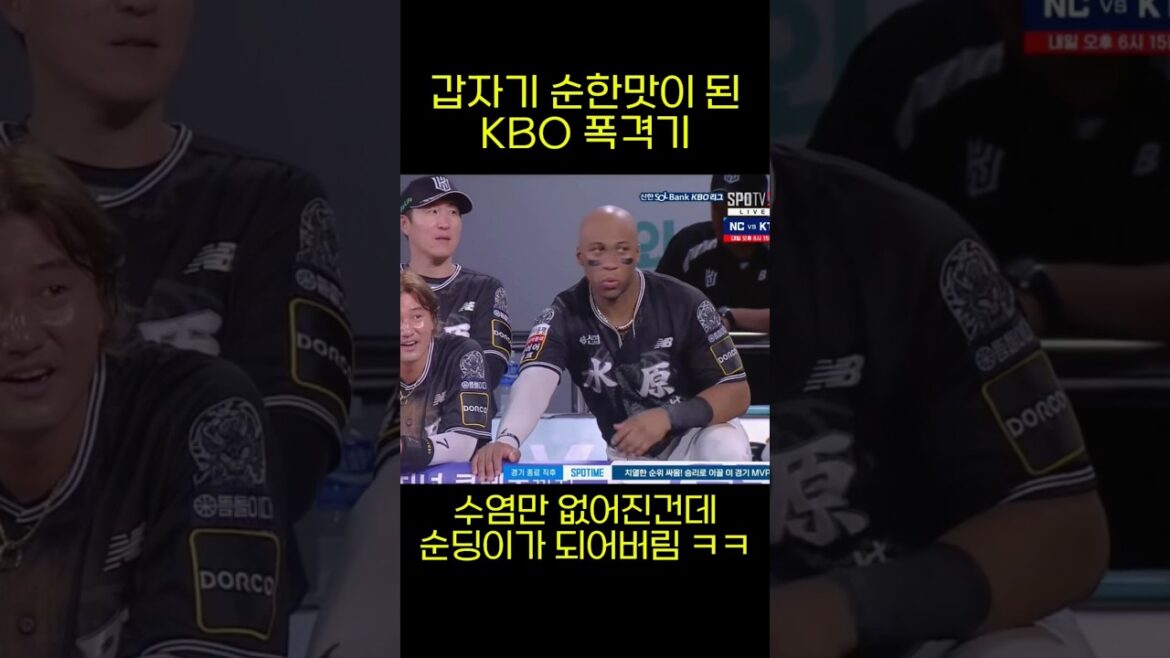 갑자기 순딩이가 된 멜 로하스 주니어 ㅋㅋㅋㅋㅋㅋ #야구 #kbo #kt위즈 #kt로하스 #멜로하스주니어