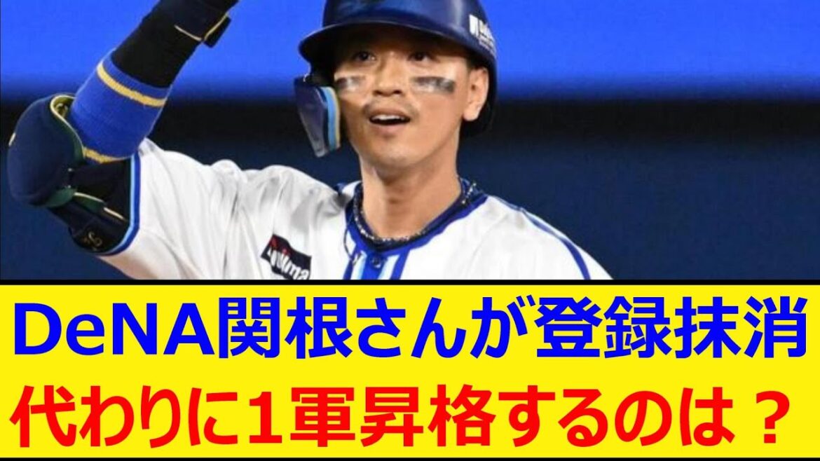 DeNA関根さんが登録抹消。代わりに1軍昇格するのは？【プロ野球、なんj、なんg反応】【野球、2ch、5chまとめ】【横浜DeNAベイスターズ、ベイスボール、エラー、関根大気】