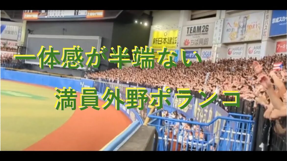 【千葉ロッテマリーンズ】ポランコ 超満員の外野 最前列から
