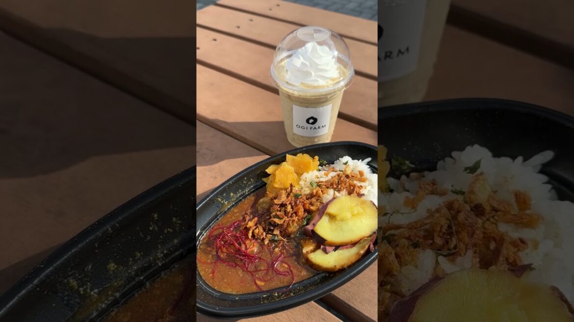 キッチンカー群像 ZOZOマリンスタジアム「パーソルカメラ」パ・リーグ裏側密着中！ #shorts