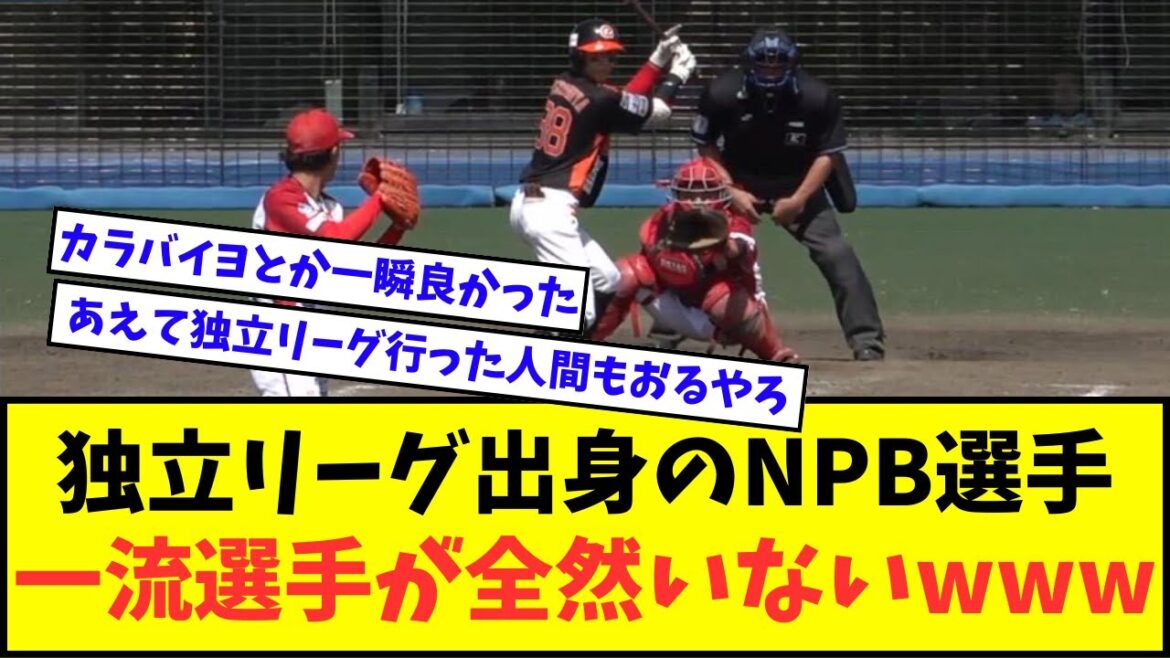 【悲報】独立リーグ出身のNPB選手、一流選手が全然いないwwwww【なんJ反応】【2chスレ】【5chスレ】【プロ野球反応集】