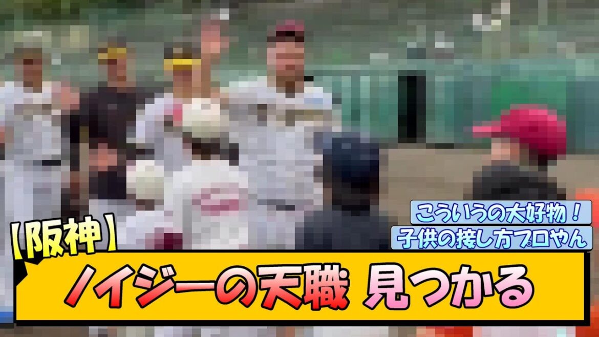 【阪神】ノイジーの天職、見つかる【なんJ/2ch/5ch/ネット 反応 まとめ/阪神タイガース/岡田監督】