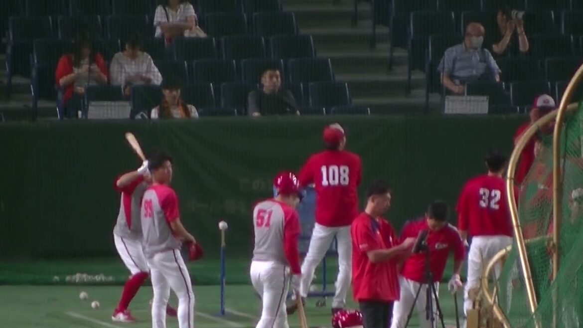 カープ上本崇司のティーバッティング（2024年8月22日 広島カープの練習）