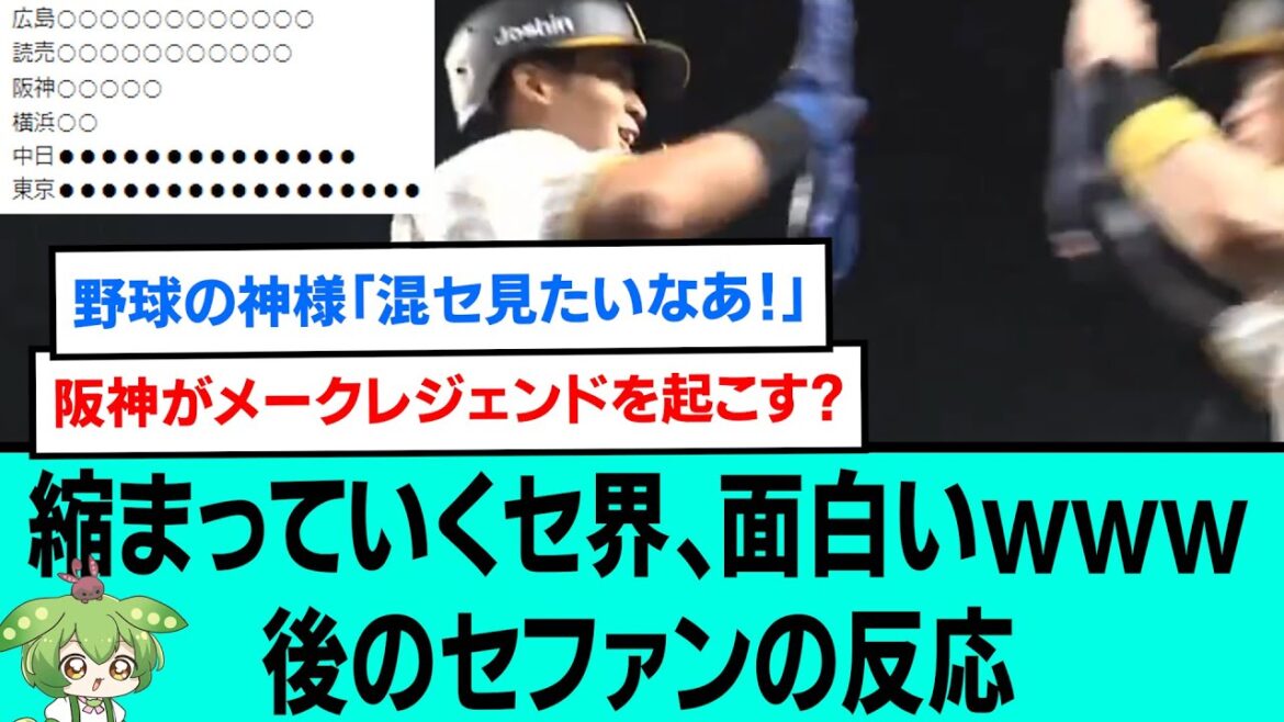 縮まっていくセ界、面白いwwwwww後のセファンの反応【阪神タイガース/プロ野球/なんJ2ch5chスレまとめ/セリーグ/井上広大/石井大智/森下翔太/佐藤輝明/2024年9月4日】