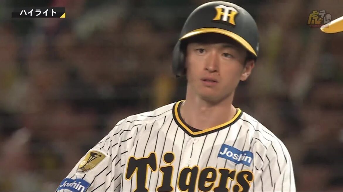 【ハイライト】阪神vs広島【2024/9/13Ｔ－Ｃ】