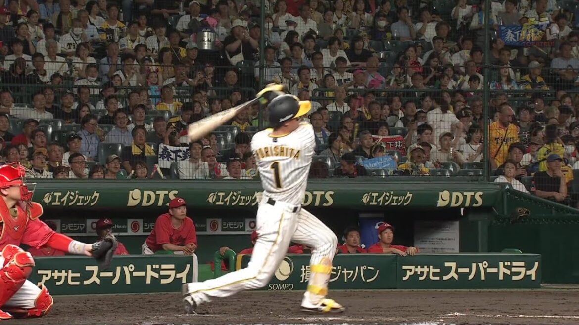 【4戦連発】7回裏、#森下翔太 選手がレフトスタンドへ第16号ソロホームランを叩き込む！【2024/9/13Ｔ－Ｃ】