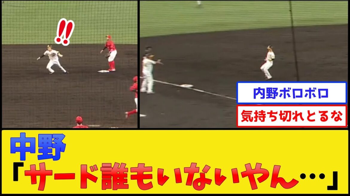 カープの守備、めちゃくちゃになってしまう【阪神タイガースvs広島東洋カープ】【プロ野球なんJ 2ch プロ野球反応集】