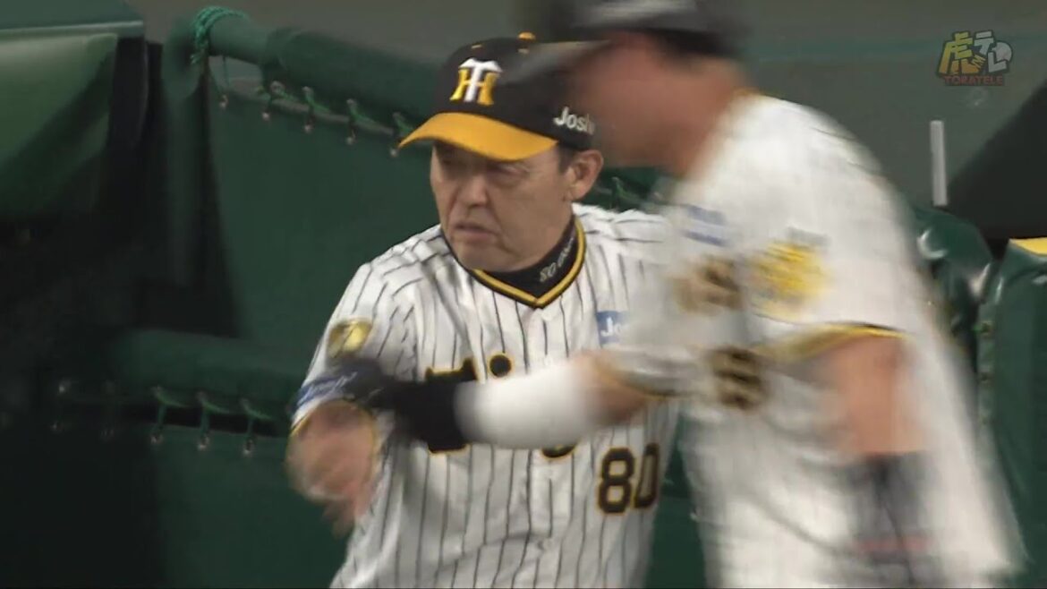 【悠然と見極め】2回裏、#近本光司 選手が同点の押し出しフォアボールを選ぶ！【2024/9/13Ｔ－Ｃ】