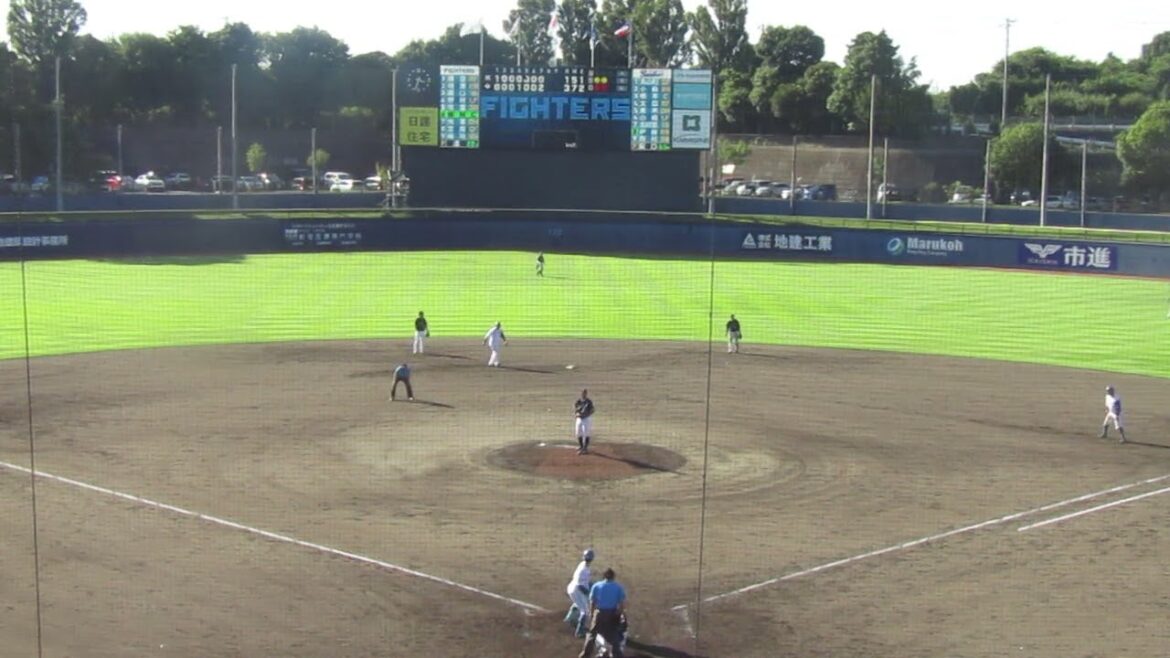 梅林優貴をショートゴロに打ち取る阪口皓亮（2024年9月4日 日本ハムファイターズ 対 ヤクルトスワローズ）