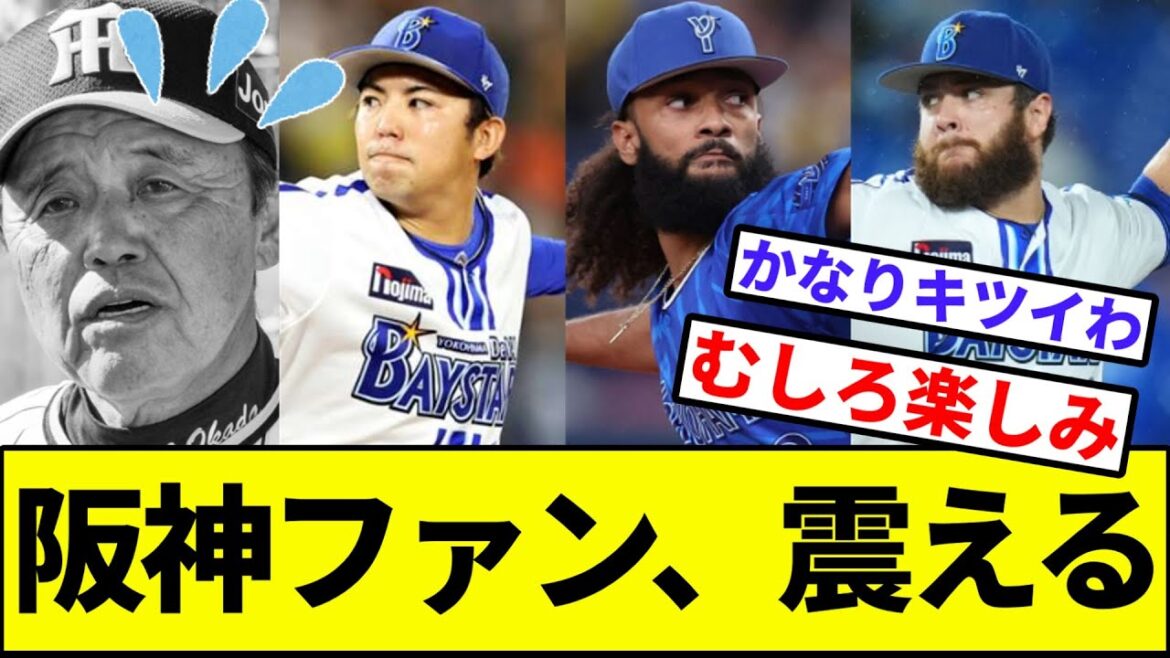 【青柳村上大竹で勝負】阪神、東・ジャクソン・ケイと対決へ…【なんJ反応】【プロ野球反応集】【2chスレ】【1分動画】【5chスレ】【タイガース】【ベイスターズ】【カープ】【中日】【巨人】【ヤクルト】