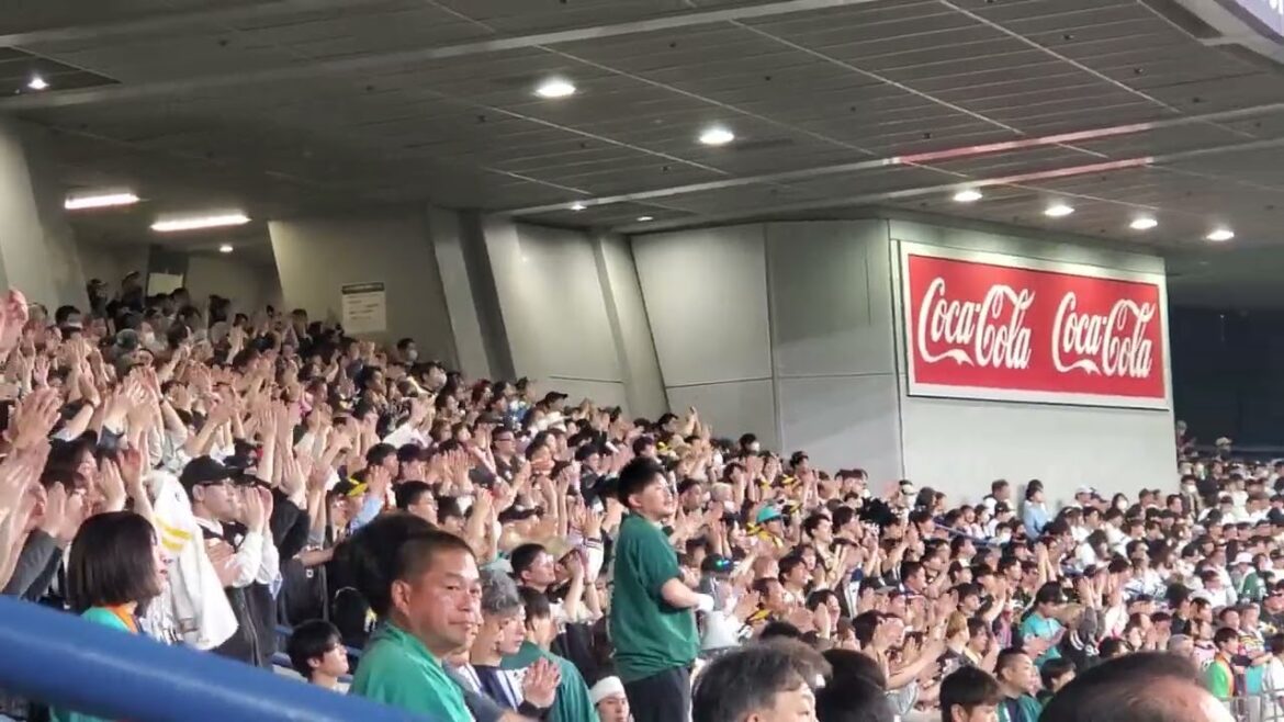 20240330　長谷川勇也を継承！【牧原大成　関西限定ｺｰﾙ】　8回表　福岡ｿﾌﾄﾊﾞﾝｸﾎｰｸｽ@京ｾﾗﾄﾞｰﾑ大阪･ﾚﾌﾄ外野下段