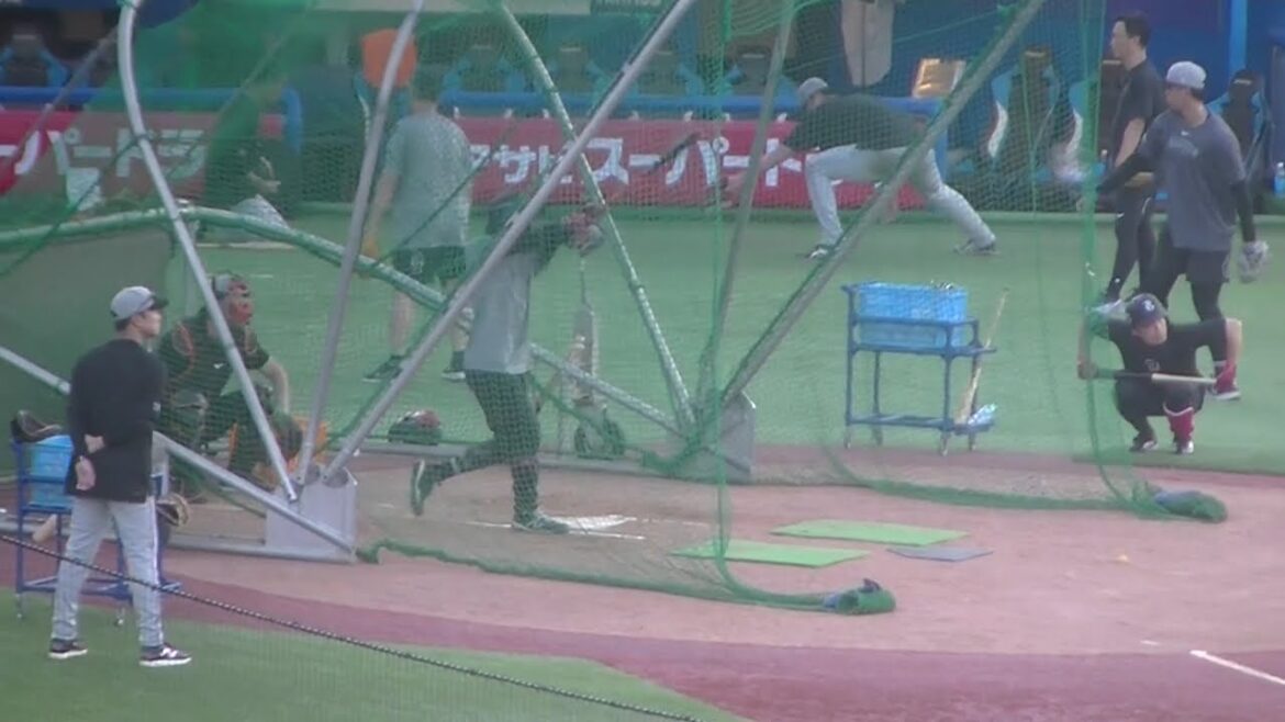 急遽 一軍に合流した立岡宗一郎 など巨人のフリーバッティング【ヤクルトスワローズ対 読売ジャイアンツ2024年9月13日】