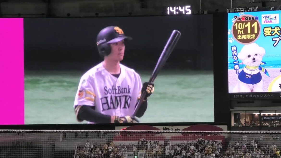 ソフトバンク 柳町達 登場曲～オー！リバル／ポルノグラフィティ 2024.8.17