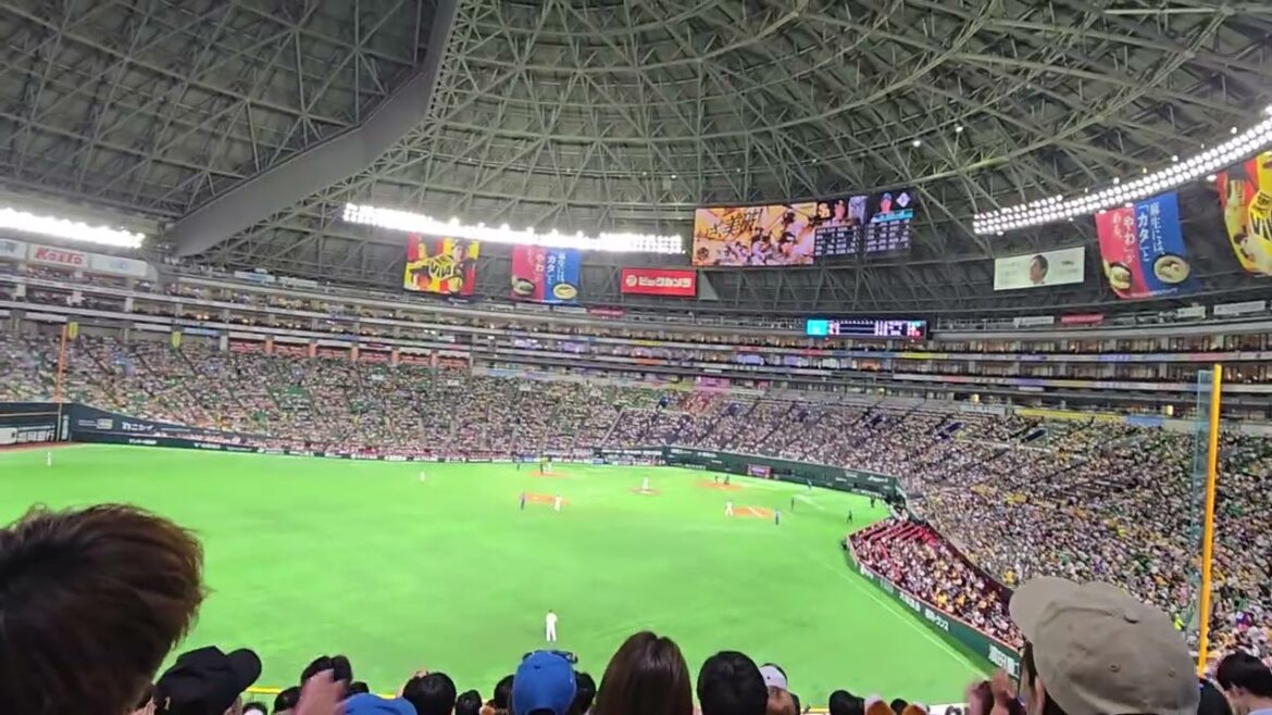 北海道日本ハムファイターズ 石井一成応援歌
