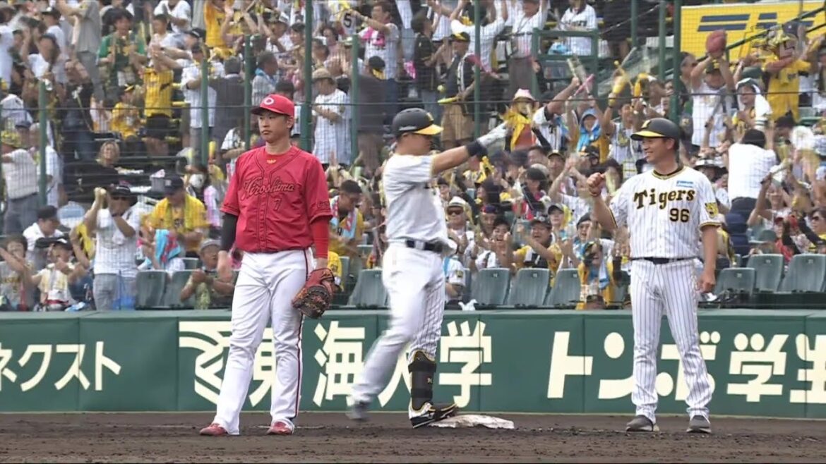 【魂が宿る】7回裏、代打 #原口文仁 選手のレフトタイムリーヒット！怒涛の同点劇！【2024/9/14Ｔ－Ｃ】