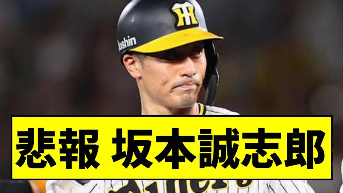 【阪神】坂本誠志郎が大変なことになっていた...【2chスレ】