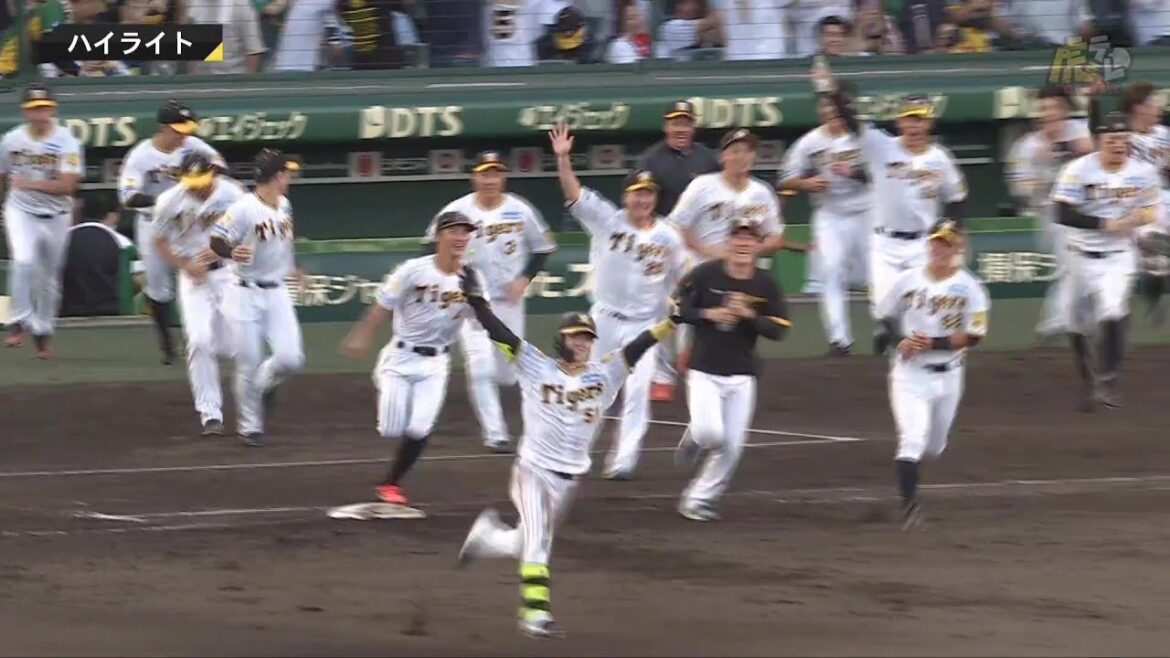 【ハイライト】阪神vsDeNA【2024/9/14Ｔ－Ｃ】
