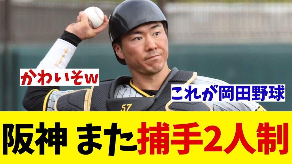 阪神　長坂降格でまた捕手2人体制・・・【野球情報】【2ch 5ch】【なんJ なんG反応】【野球スレ】