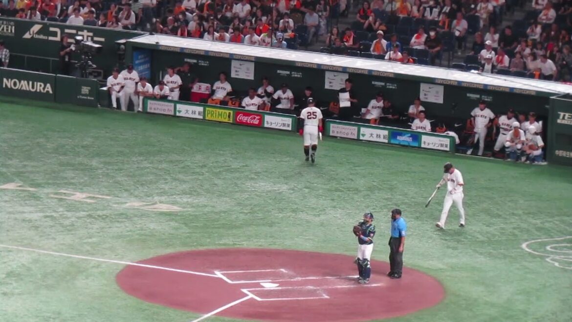 岡本和真・大城卓三の打席の時の巨人ベンチの様子＜読売ジャイアンツ 対 ヤクルトスワローズ2024年8月3日＞