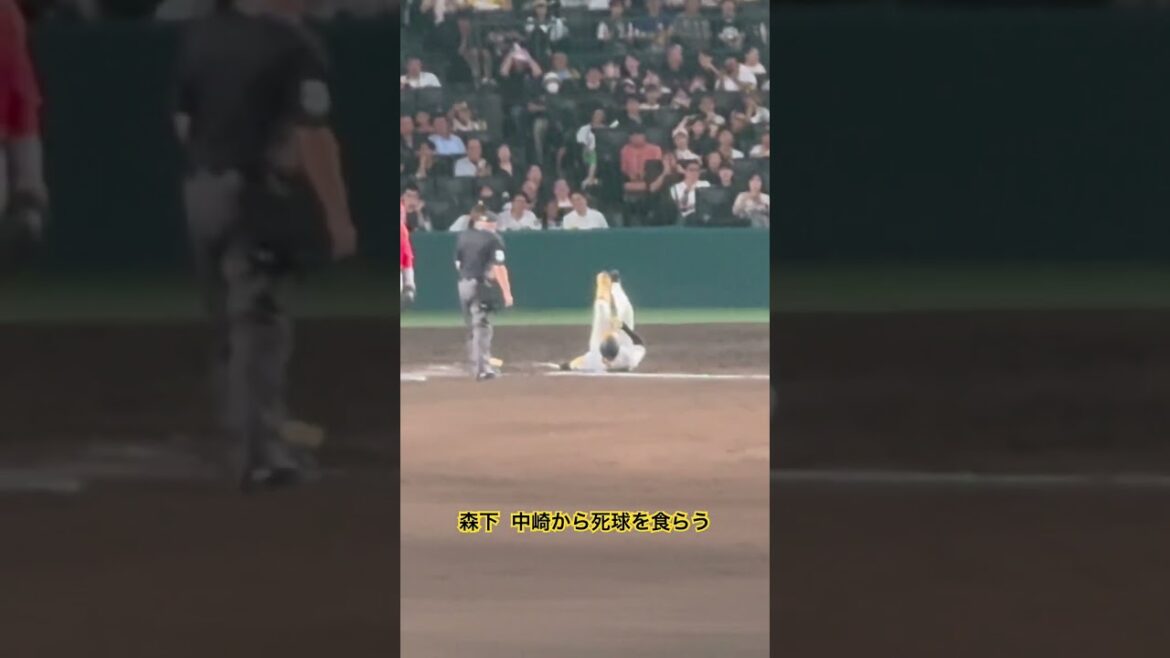 #森下翔太 #中﨑翔太 死球を食らう なおその後ホームランを打つ模様